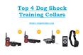 Top 4 dog shock training collars PowerPoint PPT Presentation