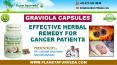 Graviola Capsules (Soursop) - Effective Herbal Remedy for Cancer Patients