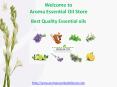 Best Mint oil suppliers @ Aroma Essential Oil Store