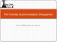 Pet Friendly Accommodation Shepparton