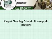Carpet Cleaning Orlando FL – organic solutions