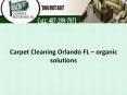 Carpet Cleaning Orlando FL – organic solutions (1) PowerPoint PPT Presentation