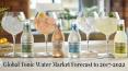 Global Tonic Water Market Forecast to 2017-2022 PowerPoint PPT Presentation