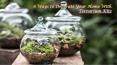 6 Ways to Decorate Your Home With Terrarium Kits PowerPoint PPT Presentation