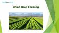 Crop Farming China E-News PowerPoint PPT Presentation