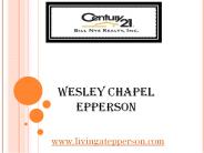 Wesley Chapel Epperson  - livingatepperson.com (1)