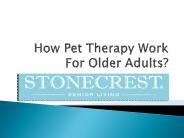 How Pet Therapy Work For Older Adults?