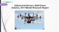 Global and Chinese LiDAR Drone Industry, 2017 Market Research Report PowerPoint PPT Presentation