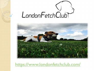 dog walker Wandsworth