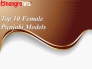 Top 10 Punjabi Models.