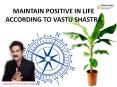 MAINTAIN POSITIVE IN LIFE ACCORDING TO VASTU SHASTRAMAINTAIN POSITIVE IN LIFE ACCORDING TO VASTU SHASTRA PowerPoint PPT Presentation