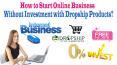 How to Start Online Business without Investment with Dropship Products? PowerPoint PPT Presentation