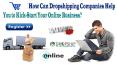 How Can Dropshipping Companies Help You to Kick-Start Your Online Business? PowerPoint PPT Presentation