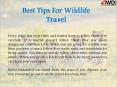 Best Tips For Wildlife Travel PowerPoint PPT Presentation