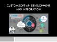 CustomSofts API Development & Integration PowerPoint PPT Presentation