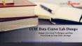 CCIE Data Center Lab Workbook PowerPoint PPT Presentation