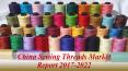 China Sewing Threads Market Report 2017-2022 PowerPoint PPT Presentation