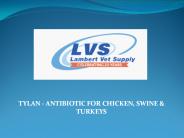 Tylan - Antibiotic For Chicken, Swine & Turkeys