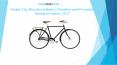 Global City Bicycles Industry Situation and Prospects Research report 2017 PowerPoint PPT Presentation