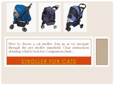 Stroller For Cats