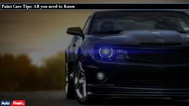 Paint Care Tips : All you Need to Know