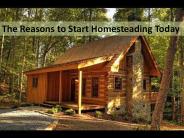 The Reason to Start Homesteading Today (1)