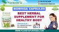 Moringa Oleifera Or Drumstick Tree - Health Benefits of Moringa Capsules