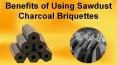 Benefits of Using Sawdust Charcoal Briquettes PowerPoint PPT Presentation