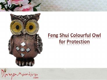 Feng Shui Colourful Owl for Protection