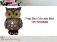Feng Shui Colourful Owl for Protection PowerPoint PPT Presentation