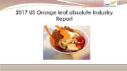 2017 us orange leaf absolute industry report