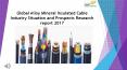 24 Market Reports: Global Alloy Mineral Insulated Cable Industry Situation and Prospects Research report 2017 PowerPoint PPT Presentation