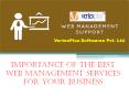 Importance of the Best Web Management Services for Your Business PowerPoint PPT Presentation