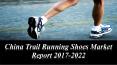 China Trail Running Shoes Market Report 2017-2022 PowerPoint PPT Presentation