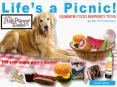 Fill Your Pup’s Picnic Basket  With Posh Puppy Boutique PowerPoint PPT Presentation