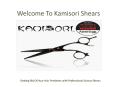 Getting Rid Of Your Hair Problems with Professional Scissor Shears PowerPoint PPT Presentation