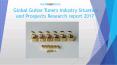 Global Guitar Tuners Industry Situation and Prospects Research report 2017 PowerPoint PPT Presentation
