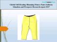 Global Self-Heating Slimming Fitness Pants Industry Situation and Prospects Research report 2017 PowerPoint PPT Presentation