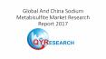 Global And China Sodium Metabisulfite Market Research Report 2017 PowerPoint PPT Presentation