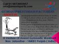 Gym Equipment Manufacturers in Jalandhar PowerPoint PPT Presentation