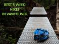 Best 5 Weed Hikes In Vancouver - Wealth Shop PowerPoint PPT Presentation