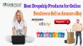 Best Dropship Products for Online Retailers to Sell on Amazon eBay PowerPoint PPT Presentation