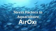 Stress Factors in Aquaculture