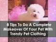 8 Things To Consider To Do A Makeover Of Your Pet With Trendy Pet Clothing PowerPoint PPT Presentation