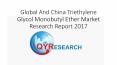 Global And China Triethylene Glycol Monobutyl Ether Market Research Report 2017 PowerPoint PPT Presentation