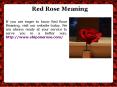 One Red Rose Online Order PowerPoint PPT Presentation