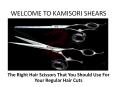 The Right Hair Scissors That You Should Use For Your Regular Hair Cuts PowerPoint PPT Presentation