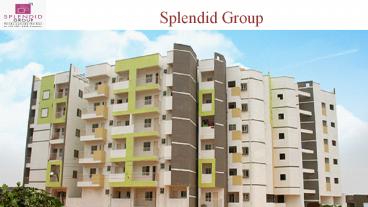 Splendid group review and customer feed back