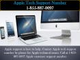 Apple Support iPad PowerPoint PPT Presentation