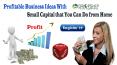 Profitable Business Ideas with Small Capital that You Can Do from Home